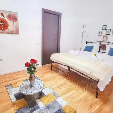 Spacious 5* Luxury In Historic Center Free Parking * クルージュ＝ナポカ