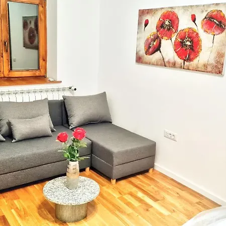Apartment Spacious 5* Luxury In Historic Center Free Parking *