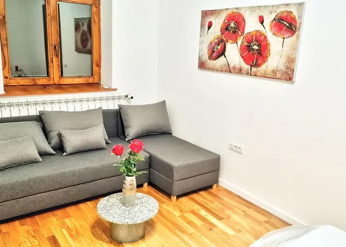 Apartment Spacious 5* Luxury In Historic Center Free Parking *